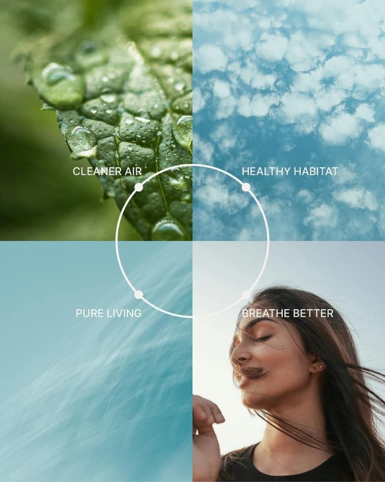 PureHabitat moodboard — cleaner air, healthy habitat, pure living, breathe better